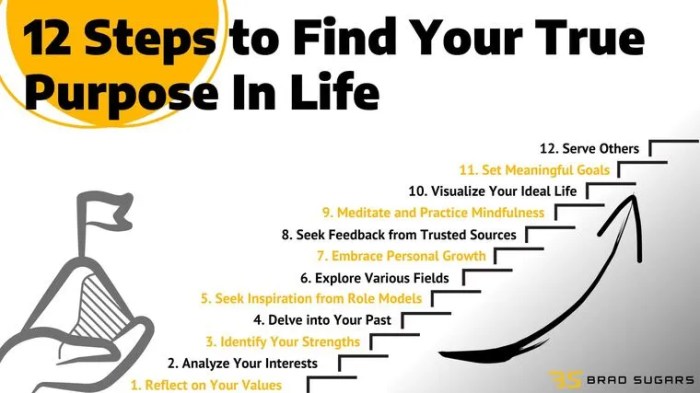 12 Steps to Find and Master Your True Purpose In Life - Brad Sugars