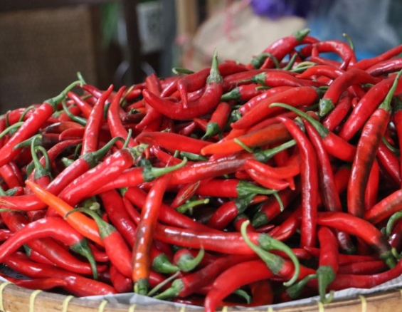 manfaat Cabai untuk Kesehatan