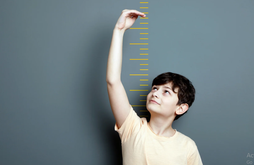 makanan penambah tinggi badan